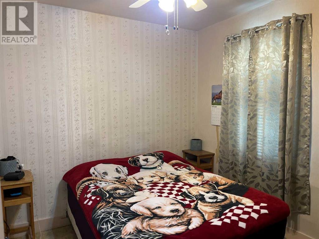 111 7th Avenue W, Bow Island, Alberta  T0K 0G0 - Photo 10 - A2234359