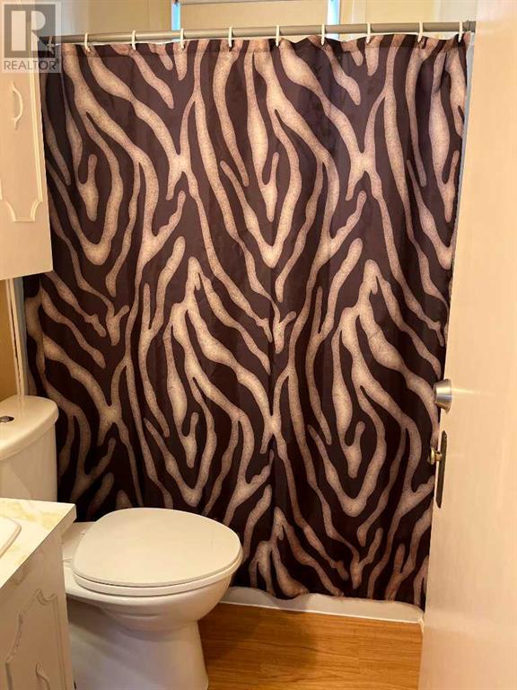 111 7th Avenue W, Bow Island, Alberta  T0K 0G0 - Photo 12 - A2234359